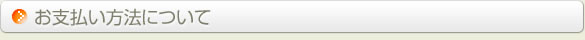 お支払い方法について